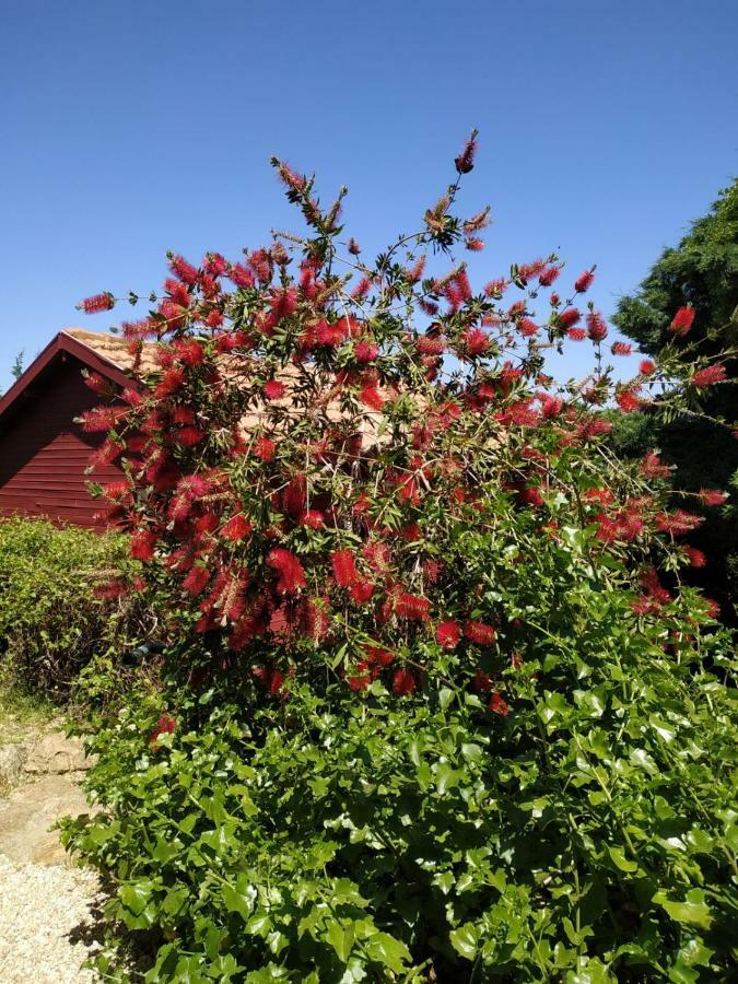 Villa Cabin In The View Hararit Exterior foto